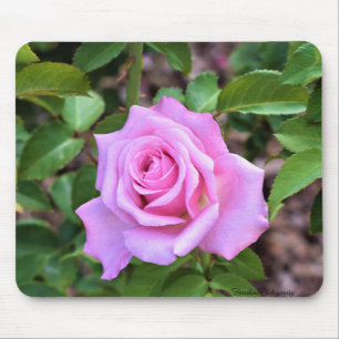 Mousepad Pad Rosa Rosa Rosa Rosa Rosa Rosa Rosa Rosa