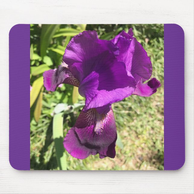 Mousepad Pad Roxo do Rato Iris Coletor (Frente)