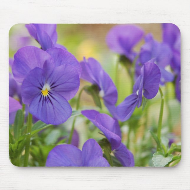 Mousepad Pad Roxo Pansy (Frente)