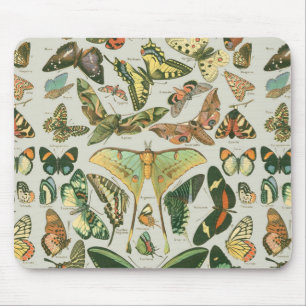Mousepad Padrão da borboleta