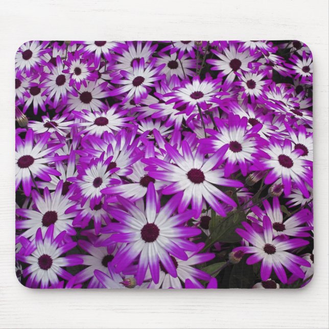 Mousepad Padrão de flores, Jardins Kuekenhof, Lisse, (Frente)
