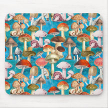 Padrão de fungos em cogumelo azul-claro