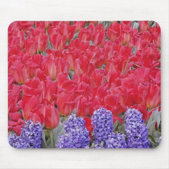 Mousepad Padrão de hiacinth, tulipas e daffodils, (Frente)