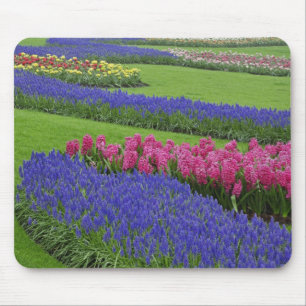 Mousepad Padrão de Jacinto de Uva, tulipas e