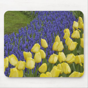 Mousepad Padrão de jardim de flores de Jacinto de Uva e