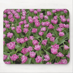 Mousepad Padrão de jardim de tulipas, Jardins Keukenhof,