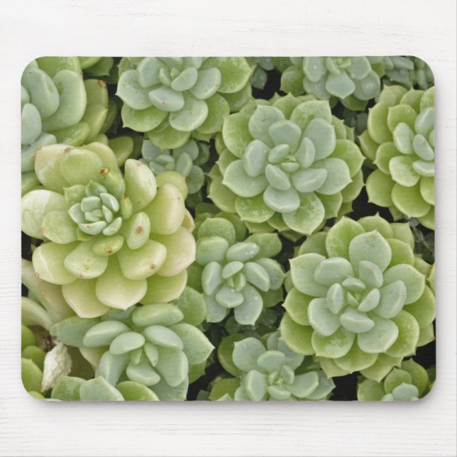 Mousepad padrão de planta de stonecrop (Frente)