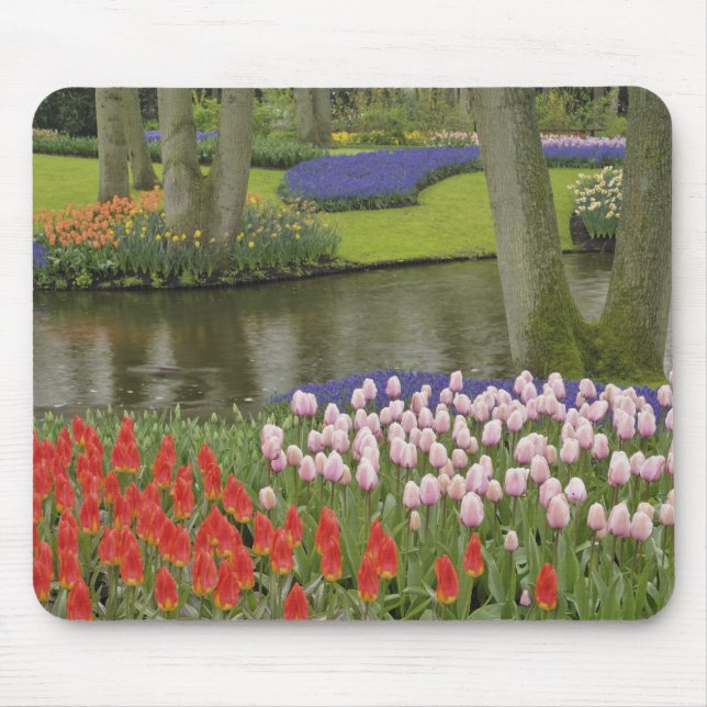 Mousepad Padrão de tulipas e flores de jacinto-dos-vinhais, (Frente)