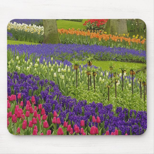 Mousepad Padrão de tulipas jacinto e jacinto-de-uva (Frente)