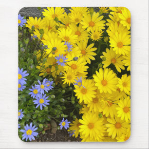 Mousepad Painel de Mouse de Disias Amarelo e Roxo
