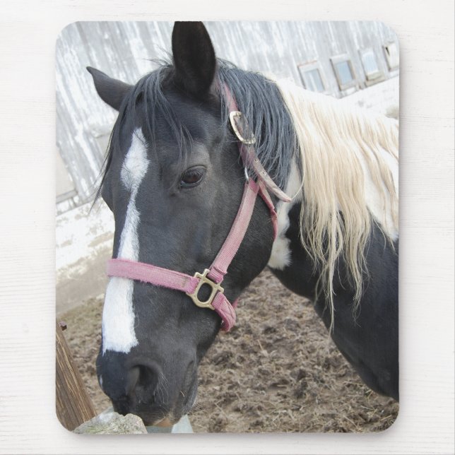Mousepad Paint Pinto Horse (Frente)