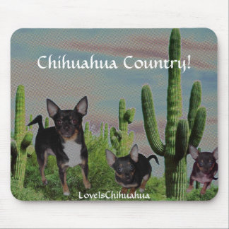 Mousepad País MickeyElvis bonito da chihuahua