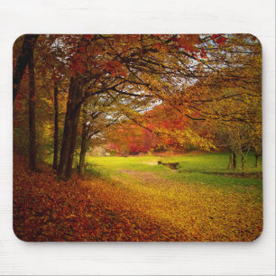 Mousepad Paisagem colorida do outono