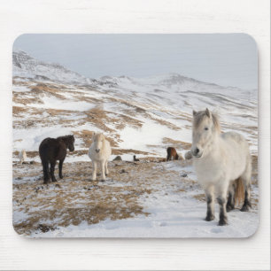 Mousepad Paisagem com Cavalos Islandeses