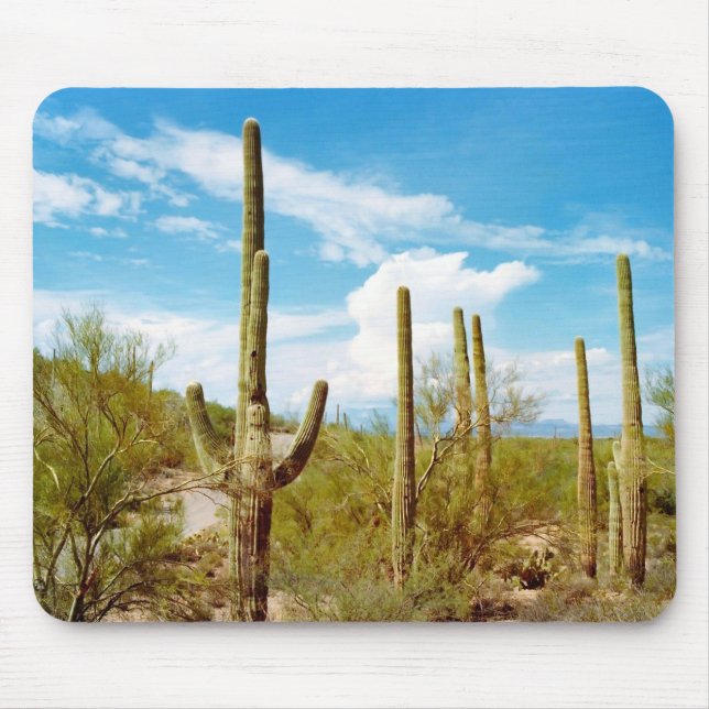Mousepad paisagem de cactus (Frente)