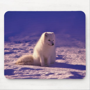 Mousepad Paisagem de Neve de inverno com Raposa Árctica
