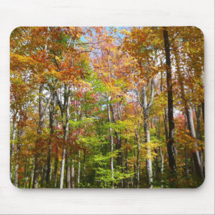 Mousepad Paisagem de outono de Floresta II