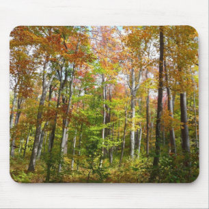 Mousepad Paisagem de outono de Floresta II