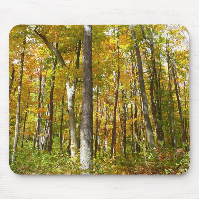Mousepad Paisagem de outono de Folhas Amarelas na Floresta (Frente)