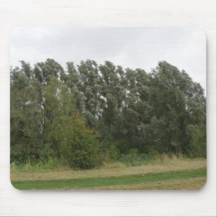 Mousepad Paisagem de Paisagem de Palangres