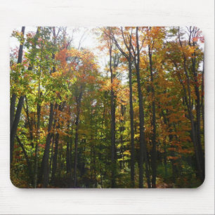 Mousepad Paisagem do outono de Sunlit