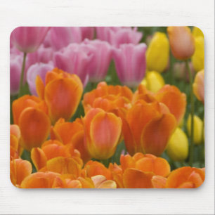 Mousepad Países Baixos, conhecido como Holanda), Lisse. Keu