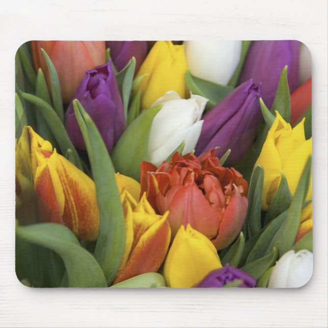 Mousepad Países Baixos, Holanda do Sul, Amsterdã (Frente)