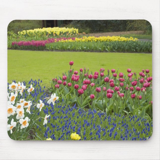 Mousepad Países Baixos (também conhecido como Holanda), Lis (Frente)