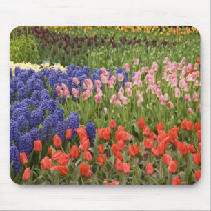 Mousepad Países Baixos (também conhecido por Holland), Li
