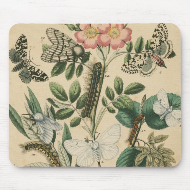 Mousepad Palcos da vida da borboleta pelo Vision Studio (Frente)