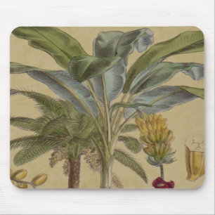 Mousepad Palm Antique Fruta Tropical Arte Botânica