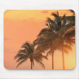 Mousepad Palmas de Miami