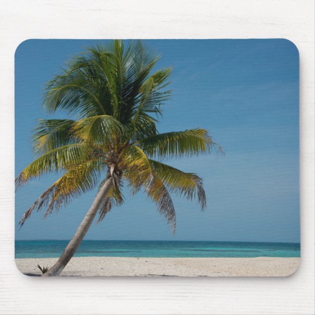 Mousepad Palmeira e praia de areia branca  2 (Frente)