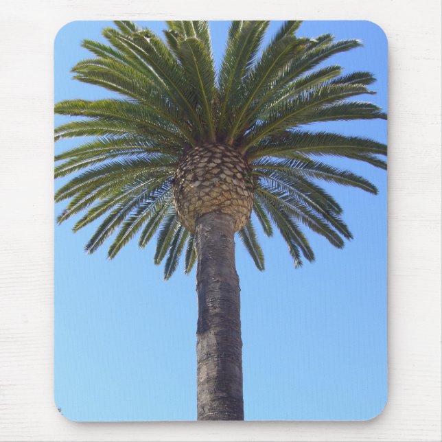 Mousepad Palmeira em San Diego, CA (Frente)