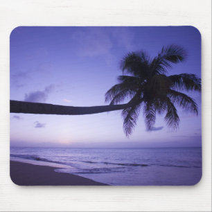 Mousepad Palmeira solitária ao pôr do sol, praia de Coconut