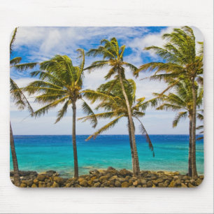 Mousepad Palmeiras de coco (Cocos nucifera) balançando ao