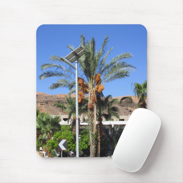 Mousepad palmeiras egípcias   (Com mouse)