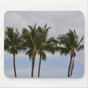 Mousepad Palmeiras Tropicais de Kauai (foto tirada por mim)