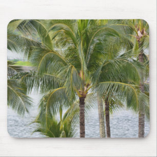 Mousepad Palmeiras tropicais do Havaí