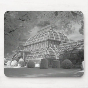 Mousepad Palmenhaus