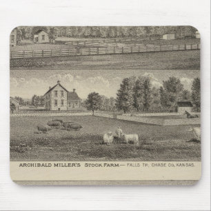 Mousepad Palmer Ranch, Kansas