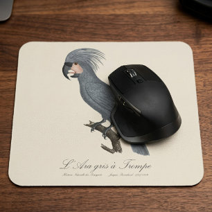 Mousepad Palmito-preto, Probosciger aterrimus