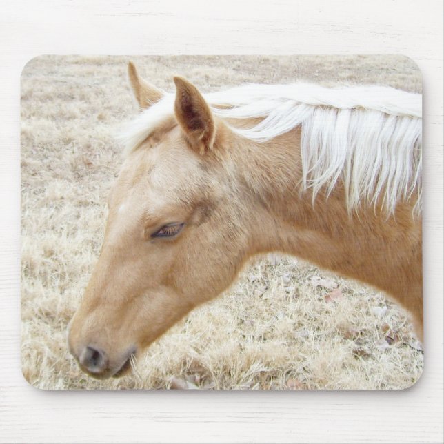 Mousepad Palomino Colt Pony Horse (Frente)