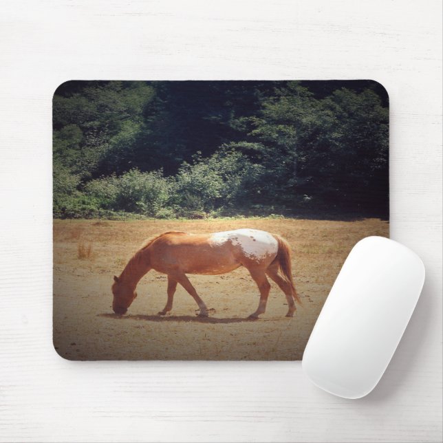 Mousepad Palomino Pastando.... (Com mouse)