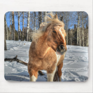 Mousepad Palomino Pinto Cavalo e Neve Joyful