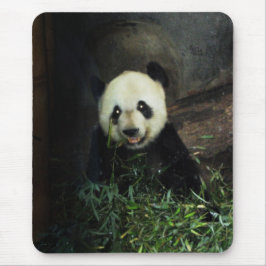 Mousepad Panda