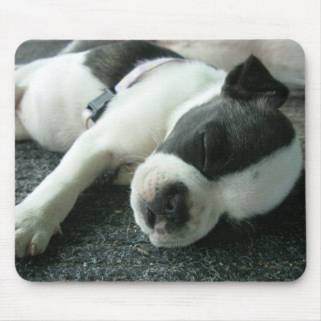 Mousepad panda (Frente)