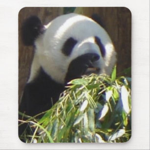 Mousepad Panda