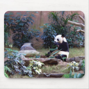 Mousepad Panda