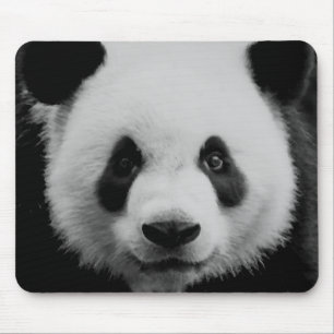 Mousepad Panda